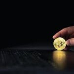 Criptomoedas promissoras para 2026: quais realmente valem a pena?